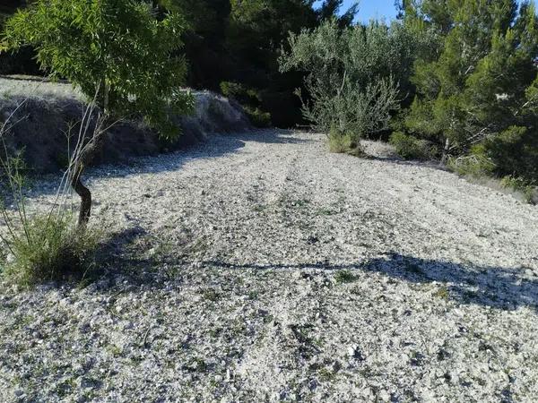 Terreno en Partida Sant Antoni