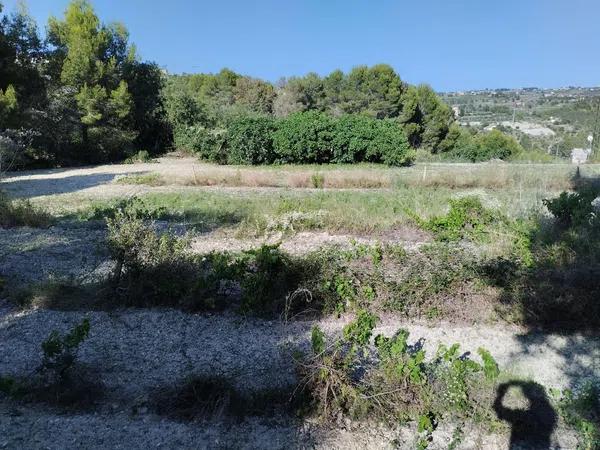 Terreno en Partida Sant Antoni