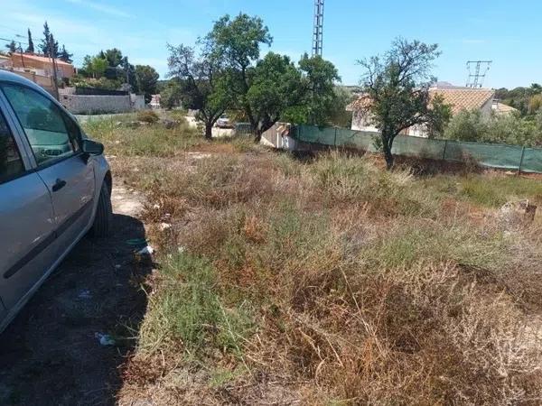 Terreno en calle Pintor Llorens Casanova