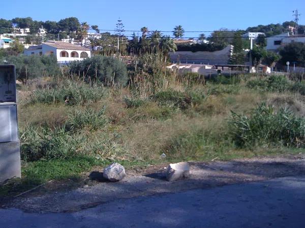 Terreno en Carpi., 2