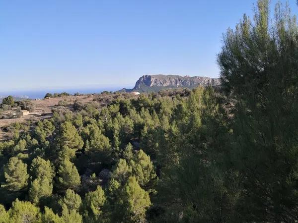 Terreno en Jalón