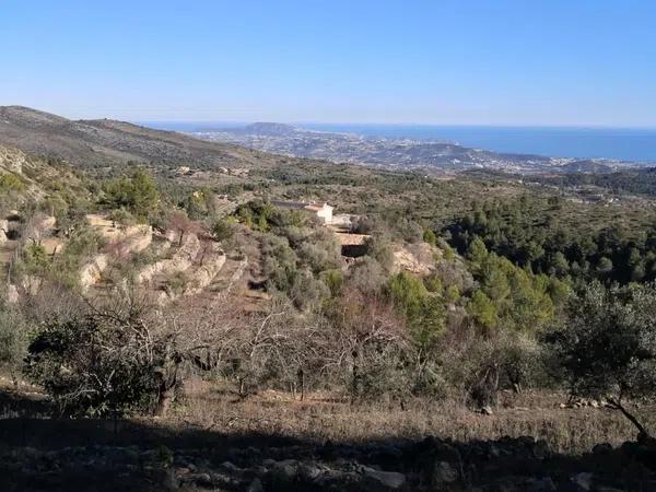 Terreno en Jalón