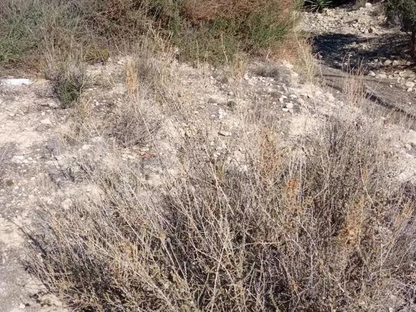 Terreno en calle la Vall de Galligants, 3