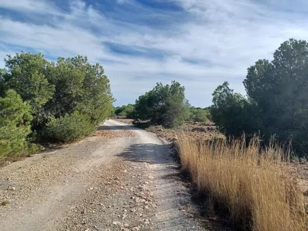 Terreno en Partida Altet