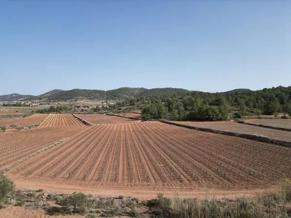 Terreno en carretera Road Road Encebras s/n