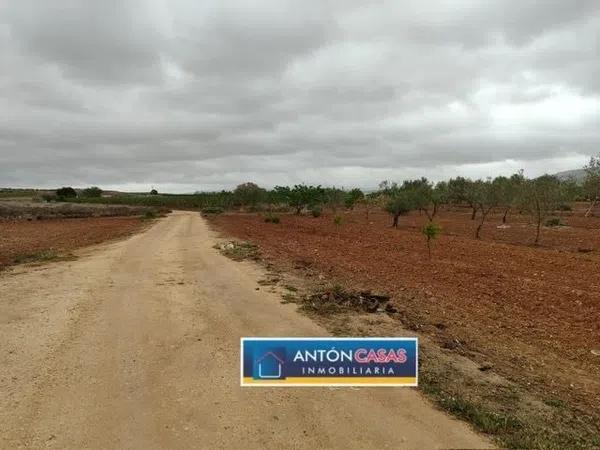 Terreno en Pinoso