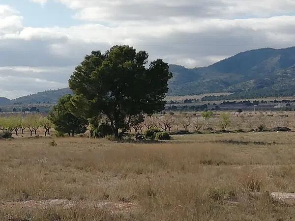 Terreno en Cañada de Don Ciro 38 Polígono 1, 87 Parcela