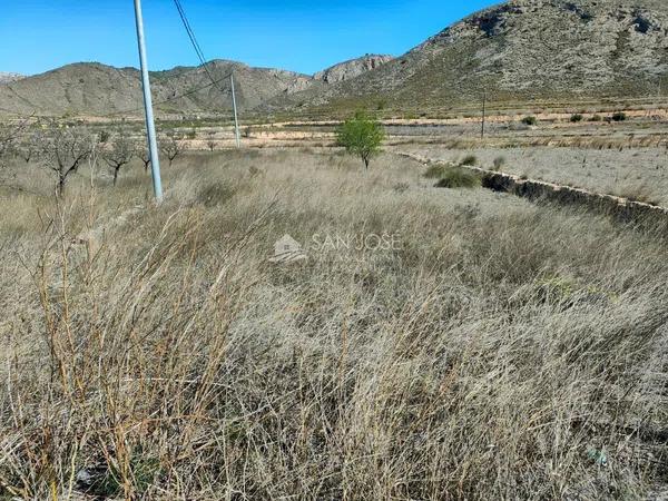 Terreno en La Murada-Los Vicentes