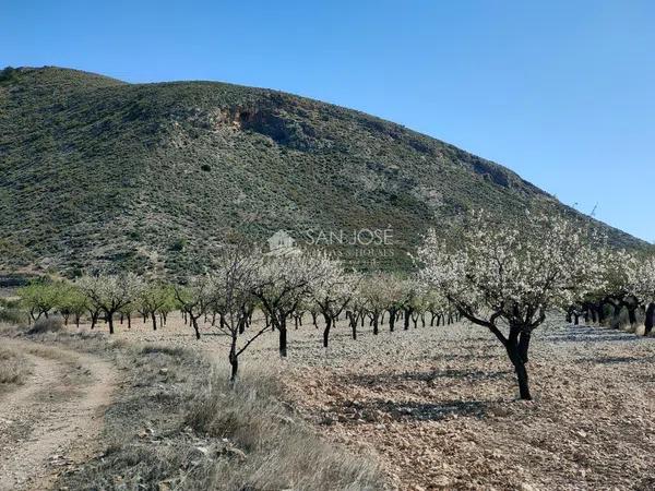 Terreno en La Murada-Los Vicentes