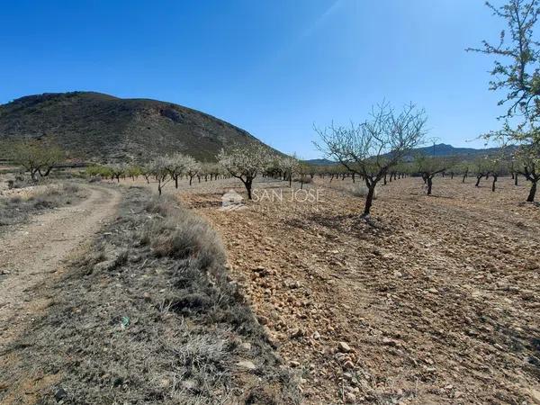 Terreno en La Murada-Los Vicentes