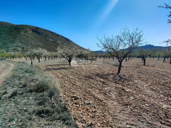 Terreno en La Murada-Los Vicentes