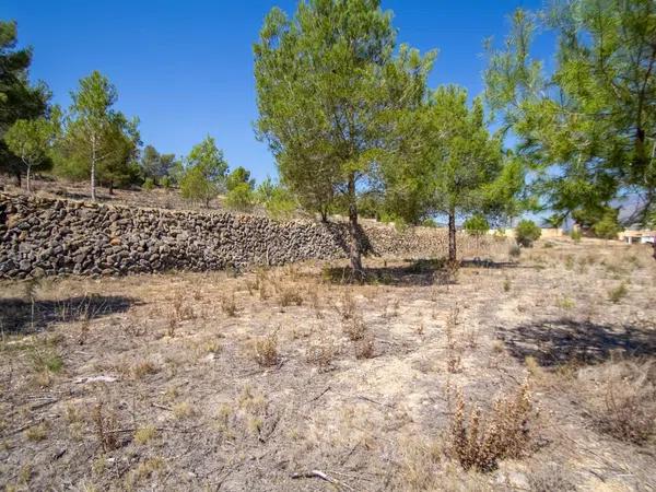 Terreno en Partida Rompuda, 4