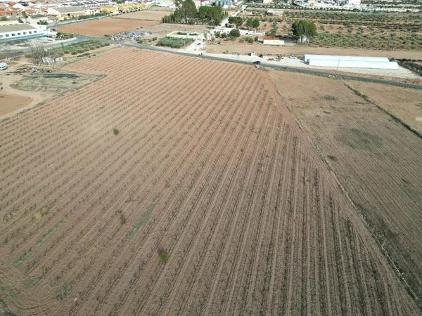 Terreno en Diseminado Pinoso, 2