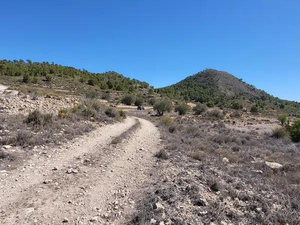 Terreno en Monovar