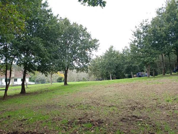 Terreno en Aldea Callou