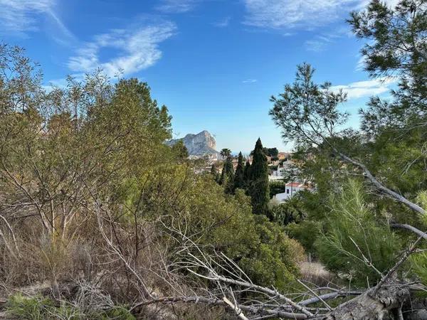 Terreno en Partida Tosal de la Cometa