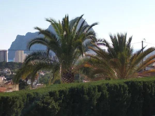 Terreno en Cometa-Carrió