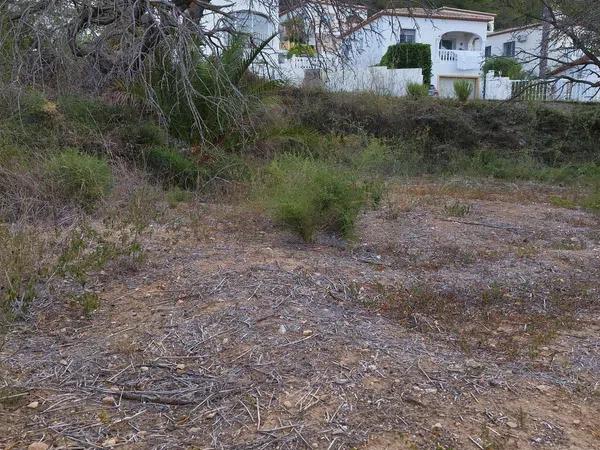 Terreno en calle Assagador