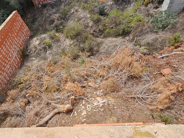 Terreno en Pinar de Campoverde