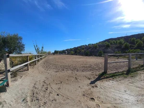 Terreno en Santa Ana, Elche, 163 Poligonoparcela