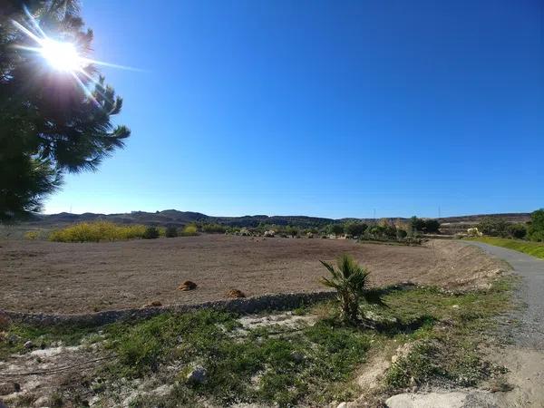 Terreno en Santa Ana, Elche, 163 Poligonoparcela