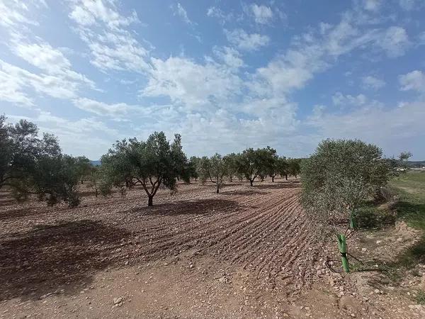 Terreno en Salinas