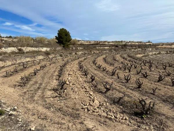 Terreno en Teulada