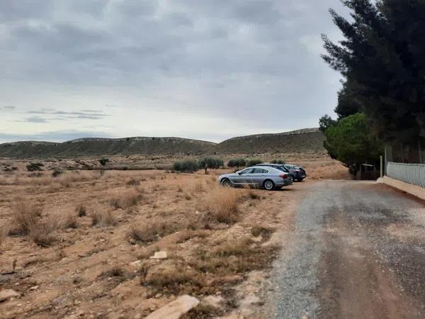 Terreno en camino Polígono 36