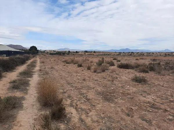 Terreno en camino Polígono 36