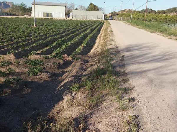 Terreno en carril de los Murcia, 5