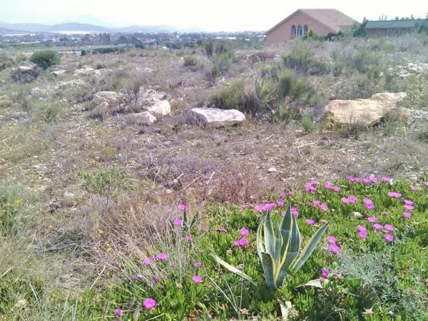 Terreno en La Huerta