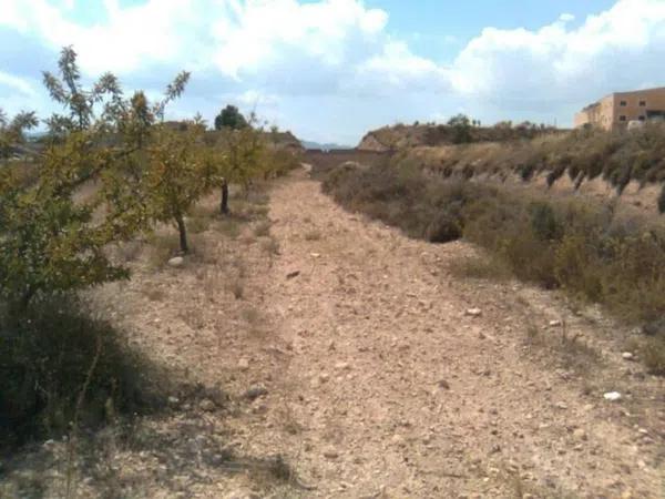 Terreno en Ibi