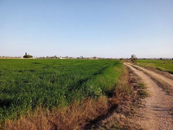 Terreno en camino Arroba de Hornos, 130