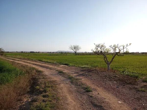 Terreno en camino Arroba de Hornos, 130