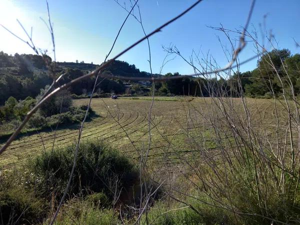 Terreno en partida quisi, km 3