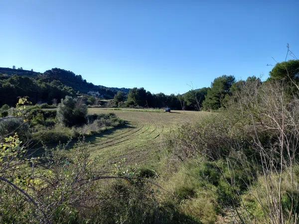 Terreno en partida quisi, km 3