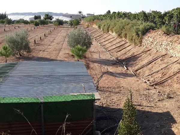 Terreno en Partida Horna Baja, 16