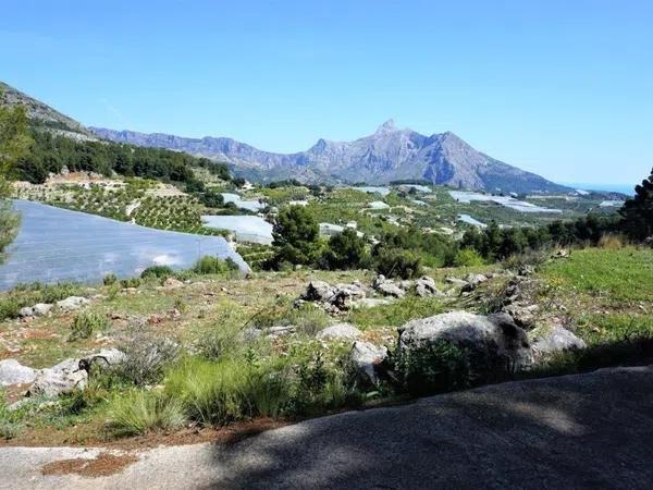 Terreno en carretera Partida Onaer s/n