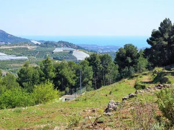 Terreno en carretera Partida Onaer s/n