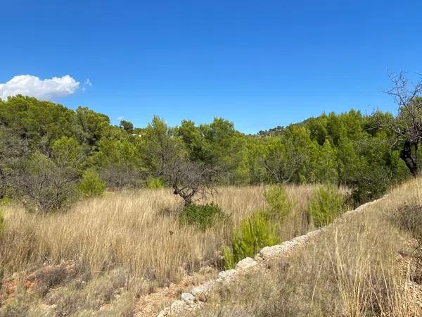 Terreno en Benissa pueblo