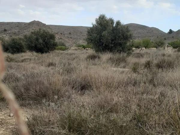 Terreno en camino de la Meca (La Cañada), 124