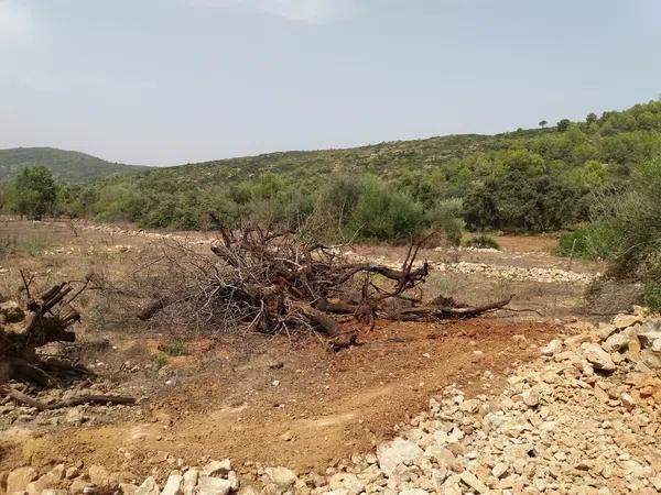 Terreno en carretera cv-715, km 43