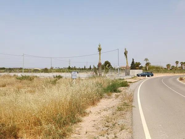 Terreno en camino Monfort sn Elche, 116