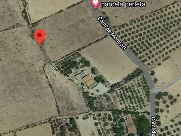 Terreno en camino Monfort sn Elche, 116