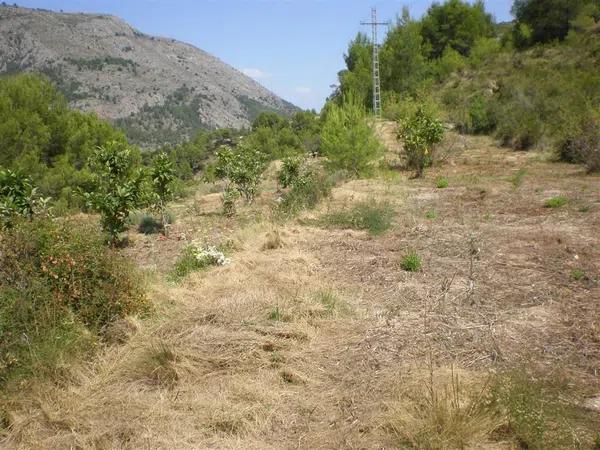 Terreno en carretera Bolulla