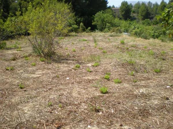 Terreno en carretera Bolulla