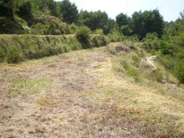 Terreno en carretera Bolulla