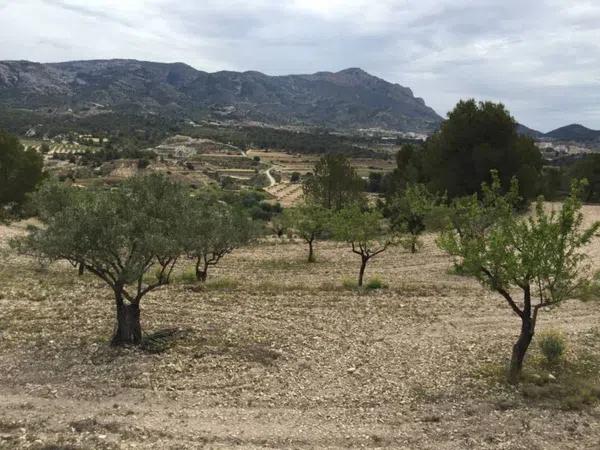 Terreno en Partida Torrosellas