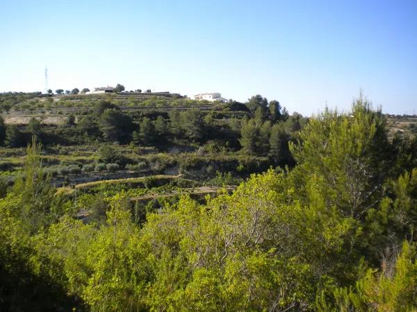 Terreno en Partida llenes