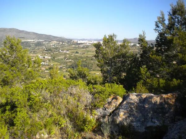 Terreno en Partida llenes